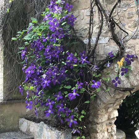 Alloggio in famiglia Molino Valsecchi 1369 Asso