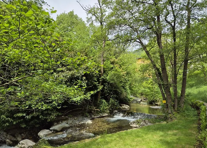 Molino Valsecchi 1369 * Asso