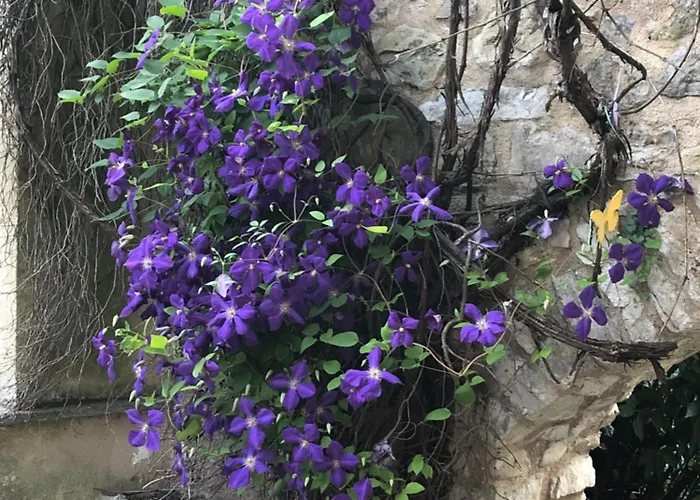 Accommodatie bij particulieren Molino Valsecchi 1369 Asso